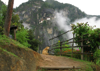 Таксанг-лакханг (Taktsang Lhakhang) – фотографии Бутана