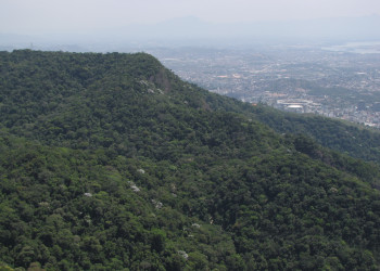 Национальный парк Тижука (Parque Nacional da Tijuca) – фотографии Бразилии