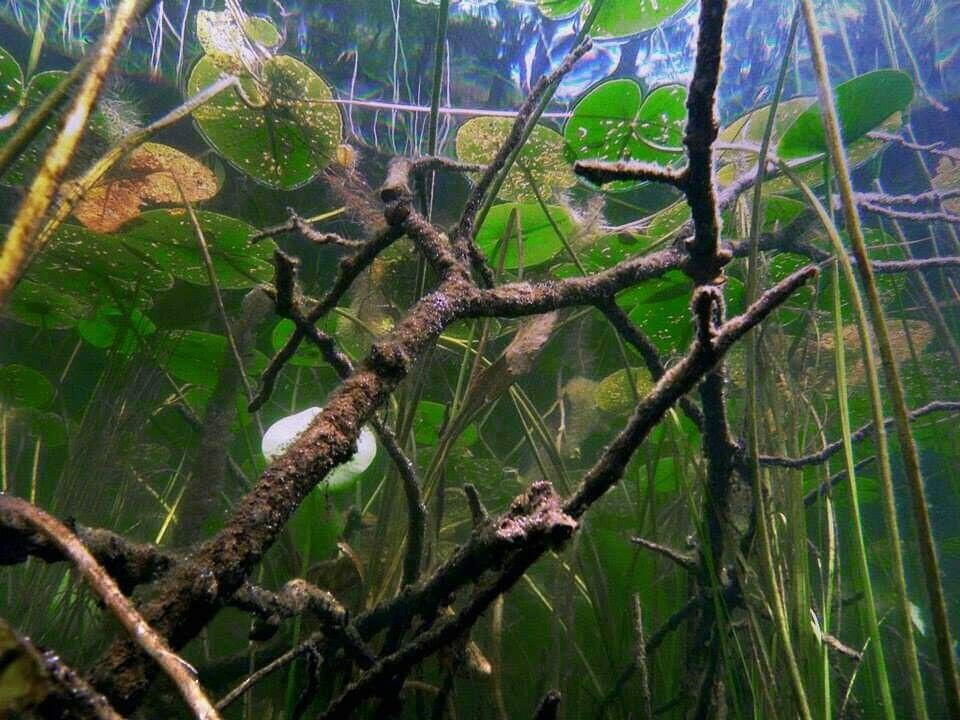 разное – фотографии России