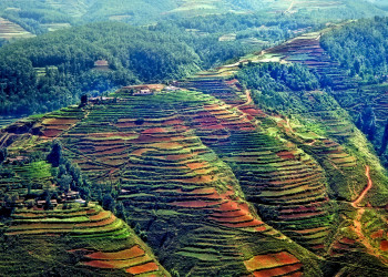 Раскрашенная во все цвета радуги Красная Земля Дончуань (Luoxiaguo) в Китае – фотографии Китая