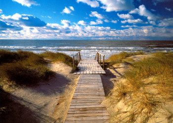 Куршская коса (Curonian Spit) в Калининградской области Куршским заливом и Балтийским морем – фотографии России