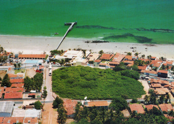 Огромное дерево кешью в Натале – фотографии Бразилии