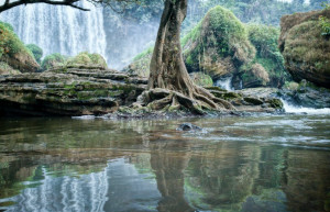 Слоновий водопад 7 – фотографии Вьетнама
