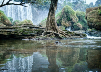 Слоновий водопад 7 – фотографии Вьетнама