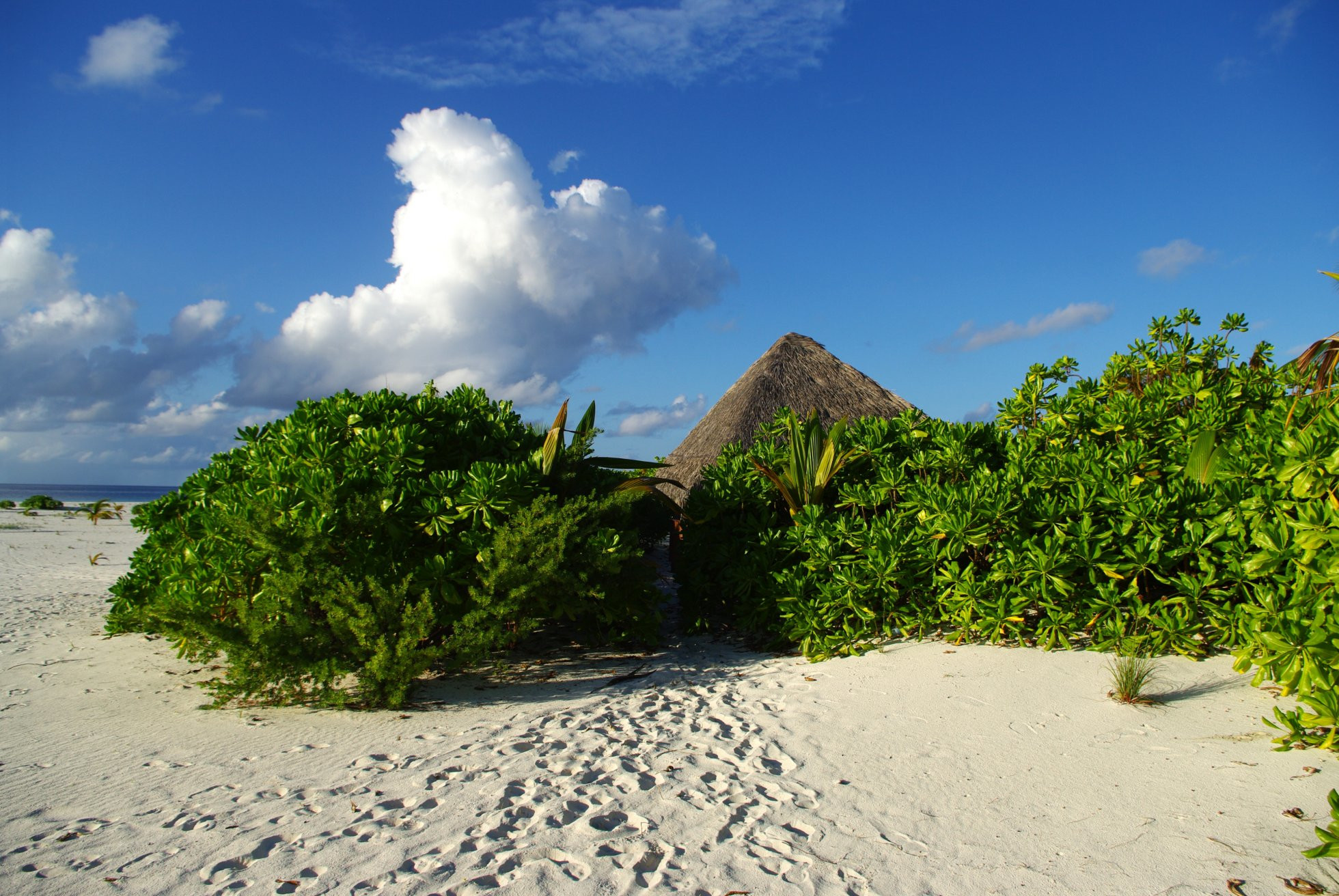 Остров Хамза (Hamza island) – фотографии Мальдивских островов