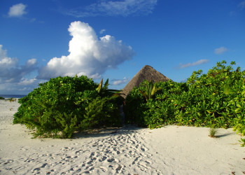 Остров Хамза (Hamza island) – фотографии Мальдивских островов