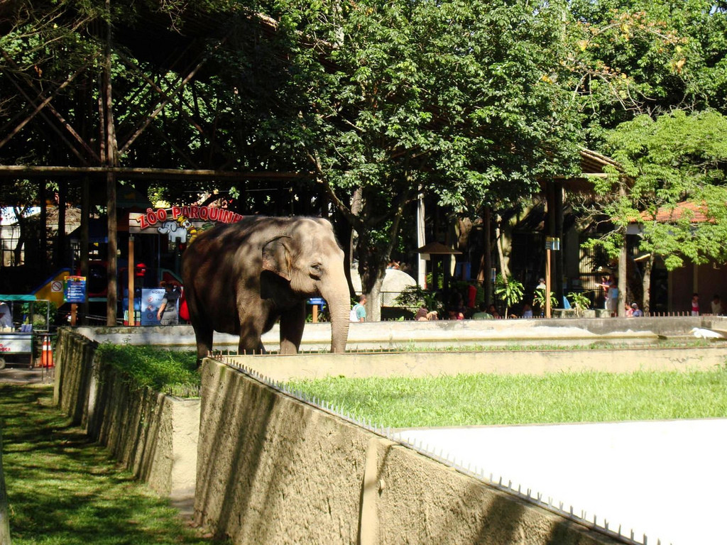 Зоопарк в Рио-де-Жанейро (Zoo) – фотографии Бразилии