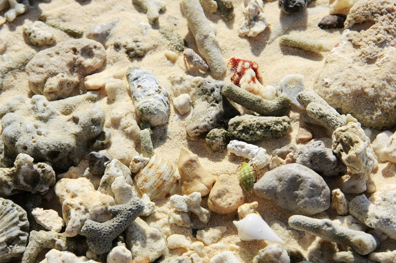 Сайпан остров, Северные Марианские острова, фото № 73187 – фотографии Северных Марианских островов