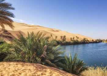 Оазис Убари 14 – фотографии Ливия