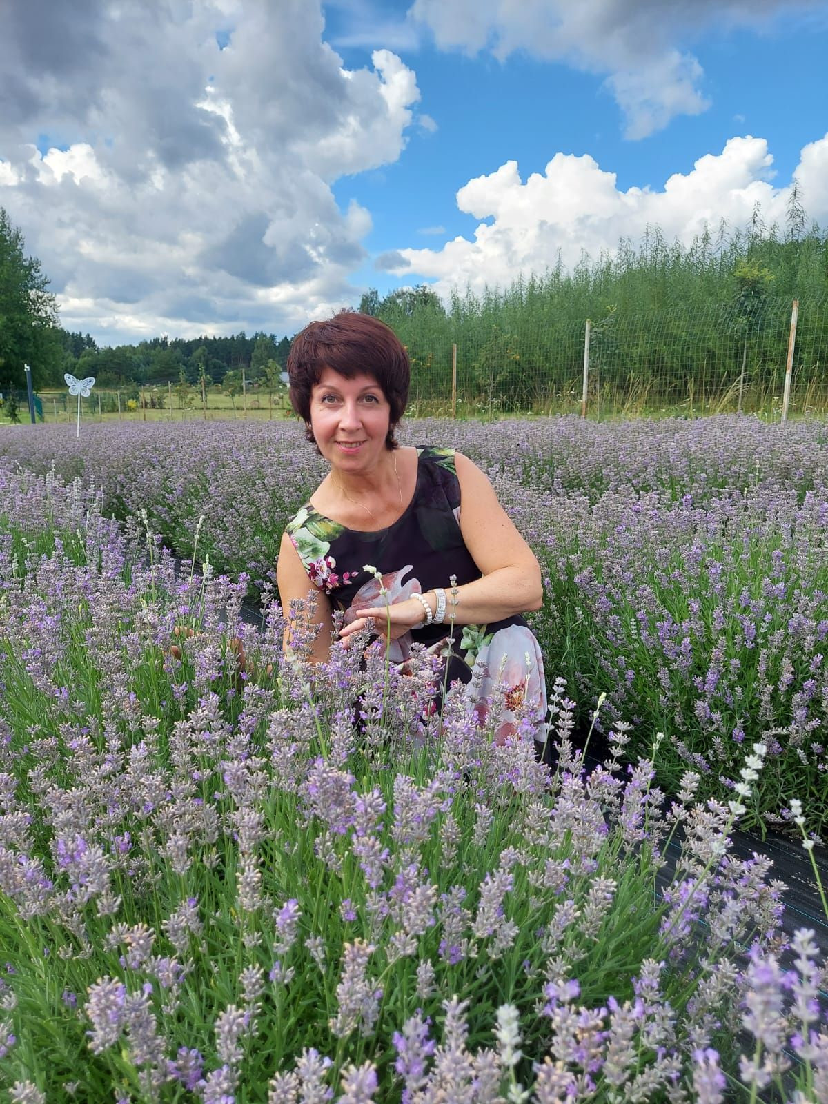 На лавандовом поле – фотографии Латвии