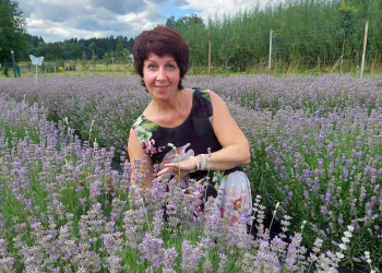 На лавандовом поле – фотографии Латвии