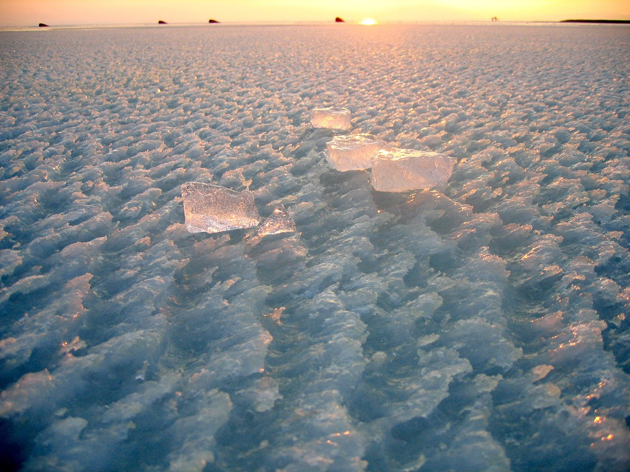 Замершее Нойзидлер-Зе озеро. Австрия – фотографии Австрии