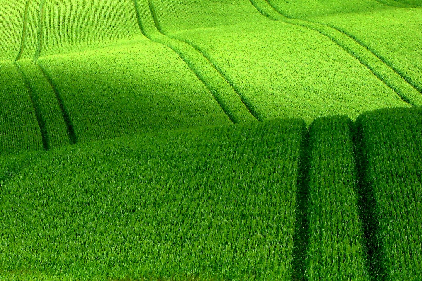 Поля в Норвегии – фотографии Норвегии