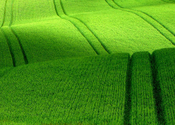 Поля в Норвегии – фотографии Норвегии