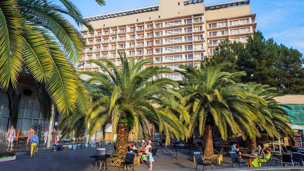 Пальмы. Пицунда – фотографии Абхазии