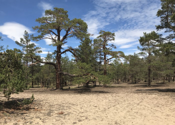 Озеро Байкал, Иркутская область – фотографии России
