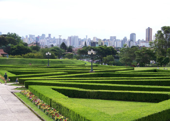 Ботанический сад – фотографии Бразилии