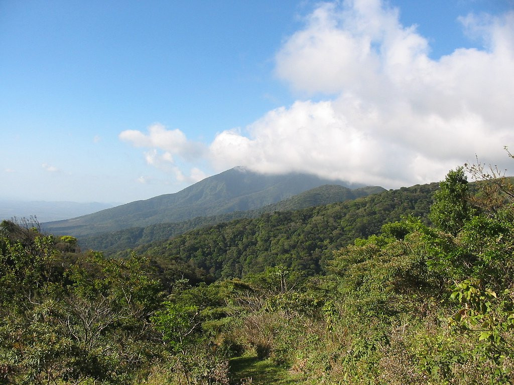 Гуанакастэ Национальный Парк, Гуанакасте провинция, Коста-Рика, фото № 39250 – фотографии Коста-Рики