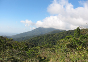 Гуанакастэ Национальный Парк, Гуанакасте провинция, Коста-Рика, фото № 39250 – фотографии Коста-Рики