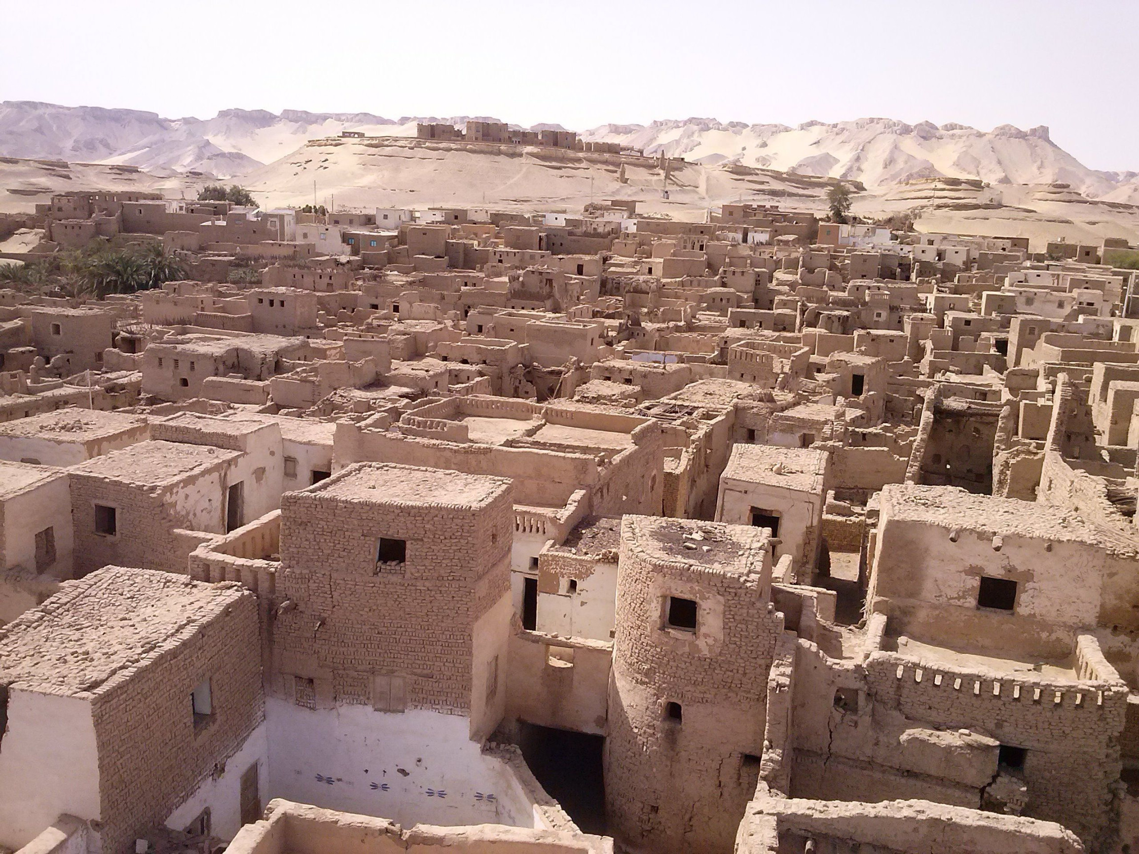 Оазис Фарафра 5 – фотографии Египта