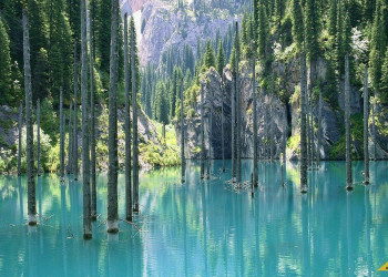 Озеро Каинди 4 – фотографии Казахстана