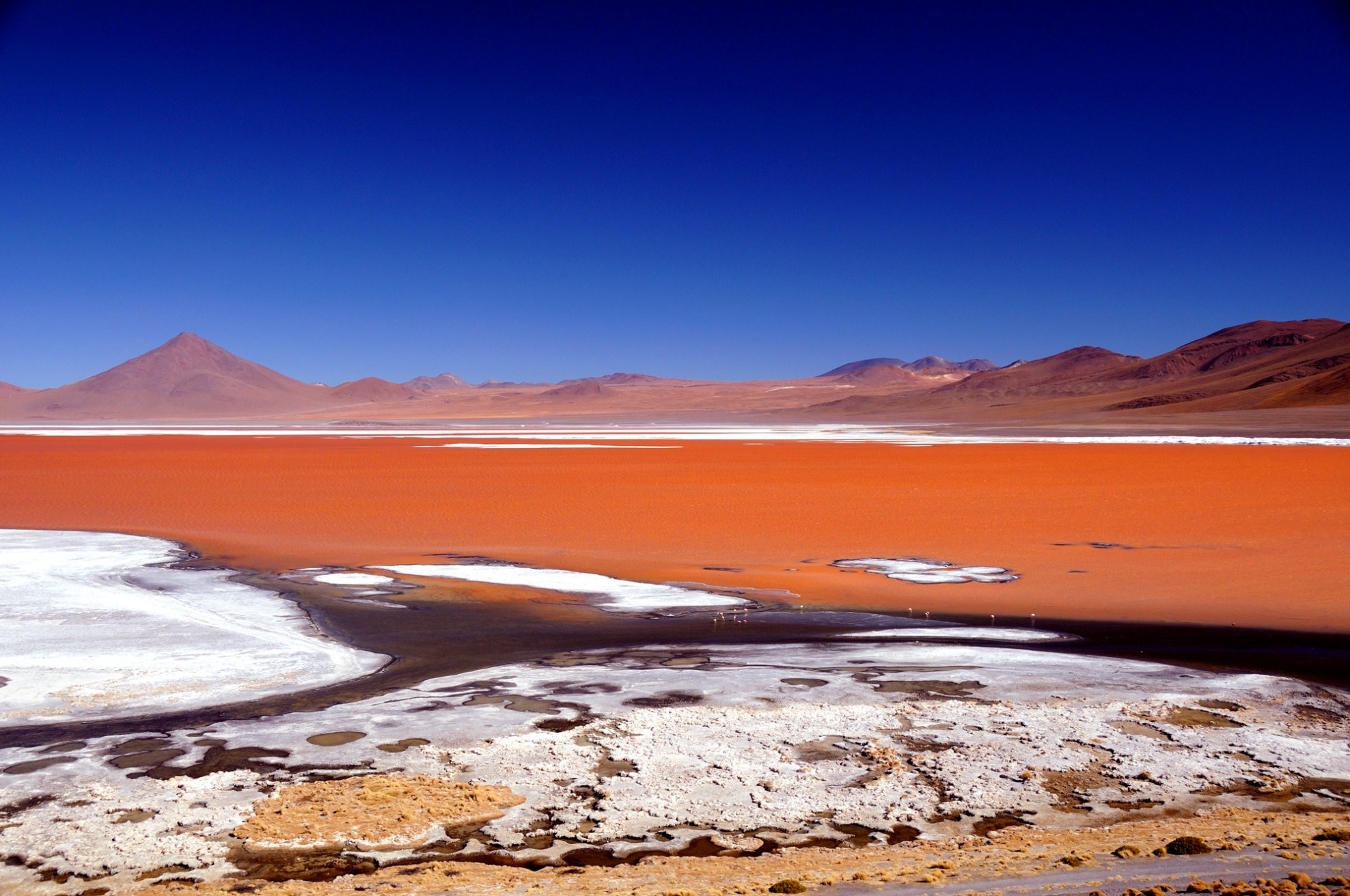 Лагуна Колорадо (Laguna Colorada)  – фотографии Боливии