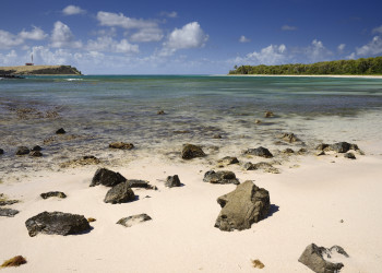 Пляж Anse à Prunes на Мартинике – фотографии Мартиники