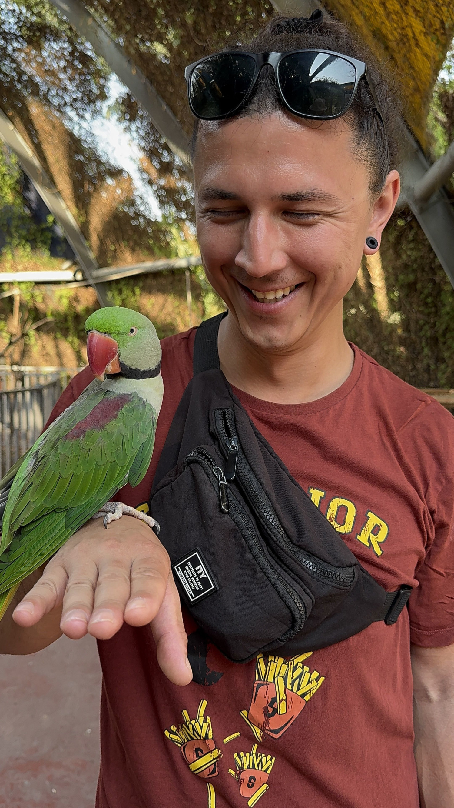 Photo – фотографии