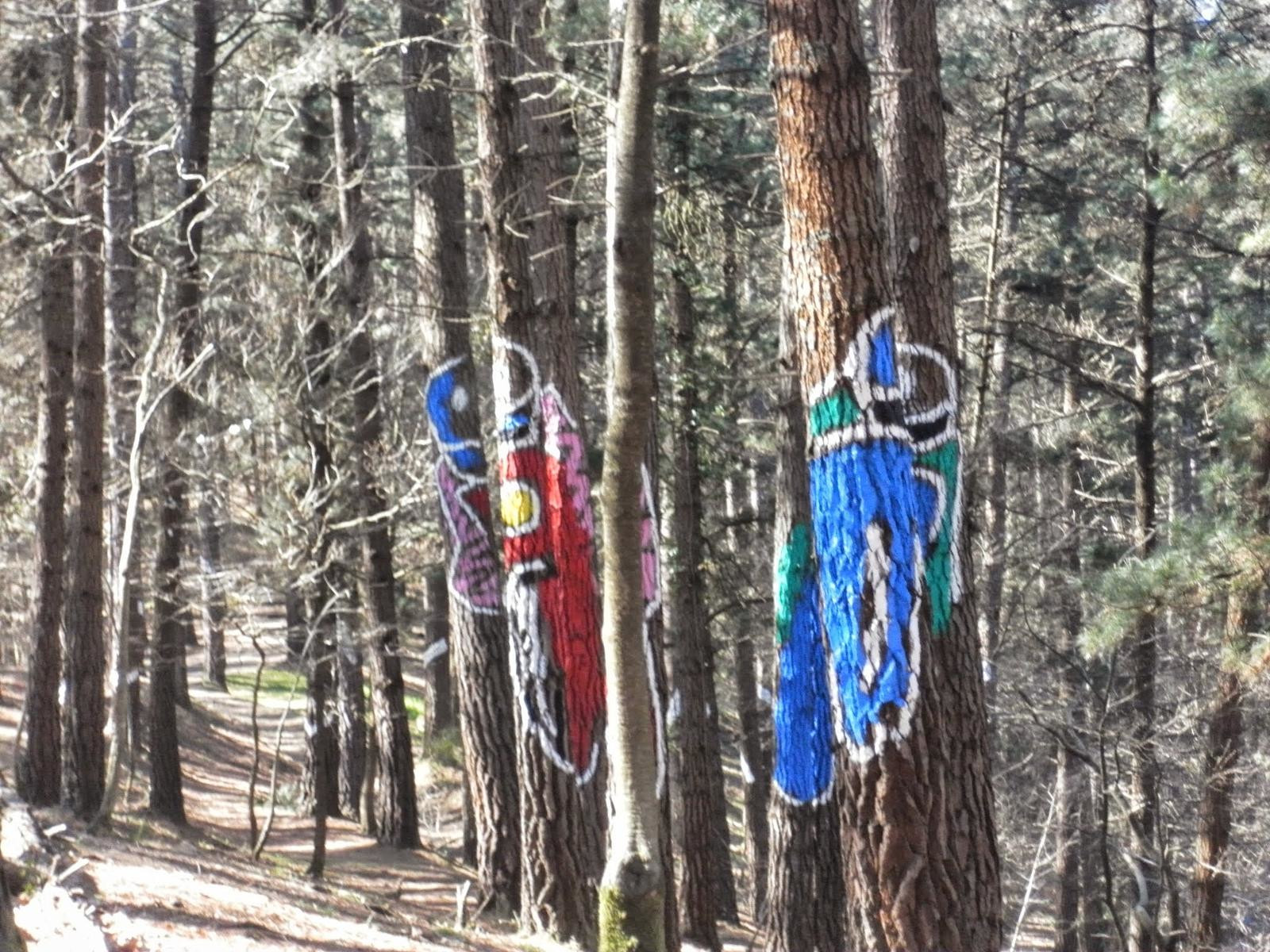 Художник Агустин Ибаррола начал рисовать на деревьях Живого леса Ома в Испании в 1982 году – фотографии Испании