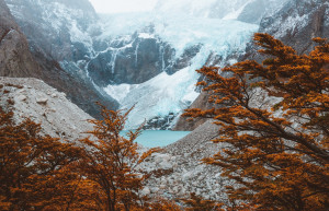 осенние деревья на фоне гор. Эль Чалтен. Аргентина – фотографии Аргентины