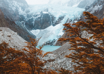 осенние деревья на фоне гор. Эль Чалтен. Аргентина – фотографии Аргентины