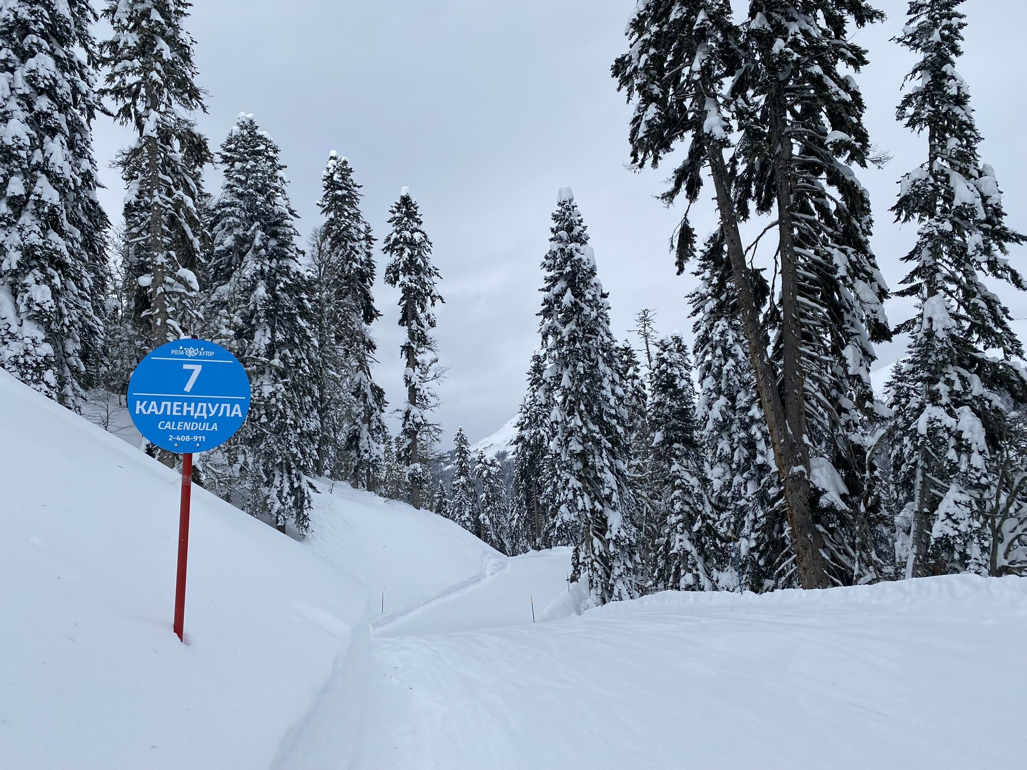 Роза Хутор Южный склон, синяя трасса Календула, знак – фотографии России