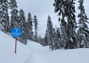 Роза Хутор Южный склон, синяя трасса Календула, знак – фотографии России