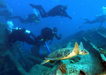 Dive – фотографии