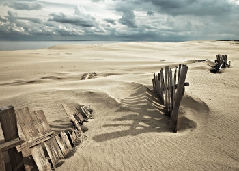 Куршская коса 7 – фотографии России