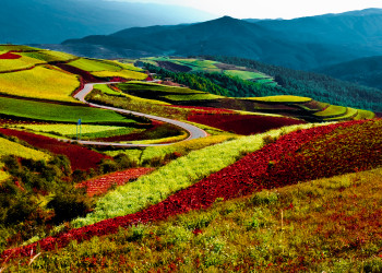 Красная Земля Дончуан стала очень известна среди китайских фотографов благодаря своей красной почве – фотографии Китая