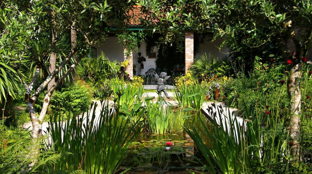 Затерянные сады Хелигана в Англии похожи на лес с поросшими мхом камнями – фотографии Великобритании