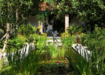 Затерянные сады Хелигана в Англии похожи на лес с поросшими мхом камнями – фотографии Великобритании