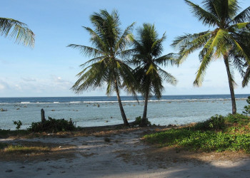 Тени от пальм. Остров Науру – фотографии Науру