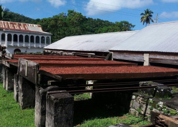 Специи в Гренаде – фотографии Гренады