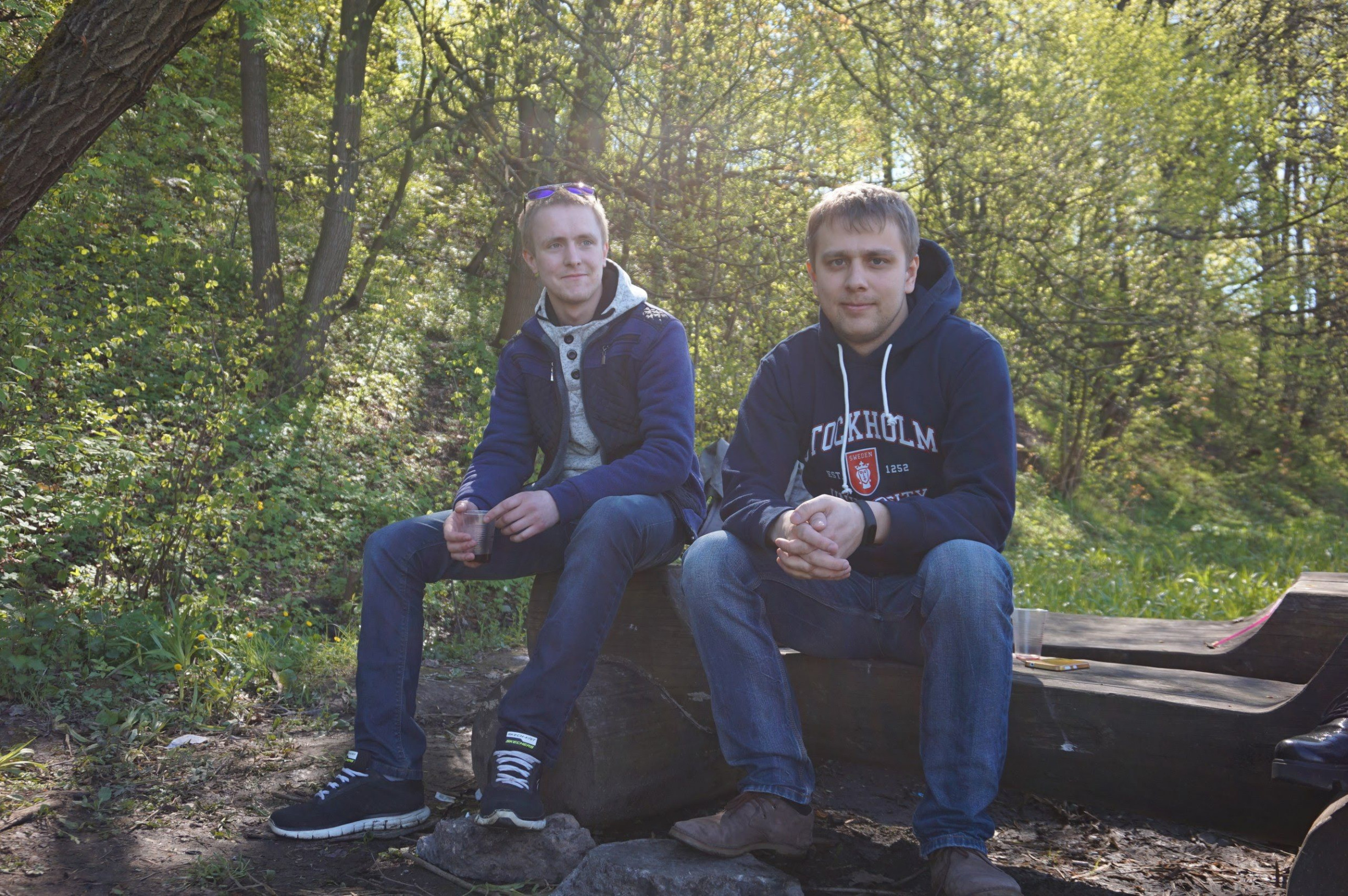 Лес – фотографии