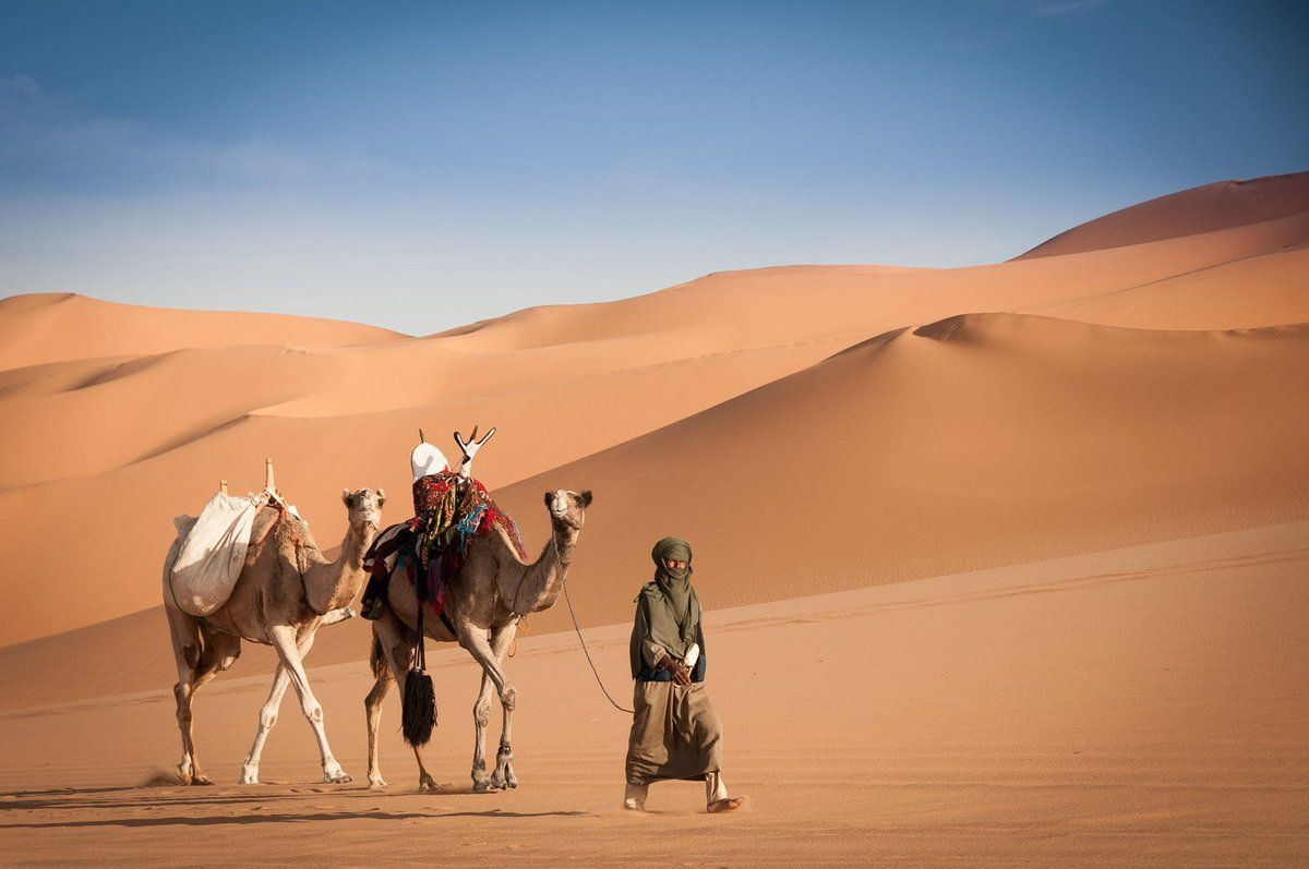 Оазис Убари 2 – фотографии