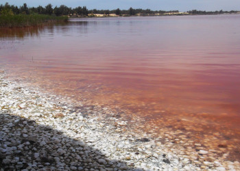 Солёное розовое озеро, Сенегал – фотографии Сенегала