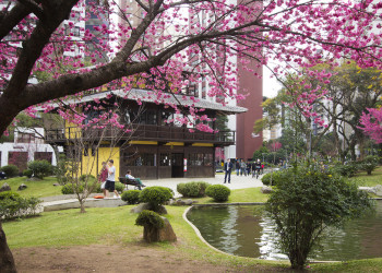 Японская площадь в Курибите – фотографии Бразилии