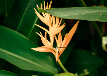 Патонг – фотографии Таиланда