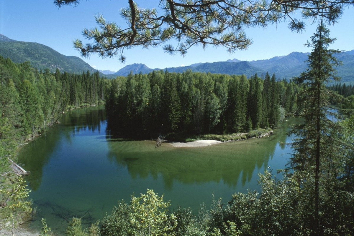 Кедровая Падь (Kedrovaya Pad) в России – фотографии России