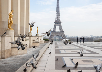 Вид на Эйфелеву башню в пустующем Париже – фотографии Франции