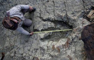 След динозавра Cal Orcko на окраине города Сукре, Боливия – фотографии Боливии