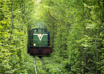 Коридор растений в форме арки в посёлке Клевань, Ровно, Украина – фотографии Украины