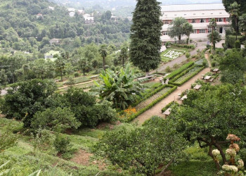 Ботанический сад Батуми – фотографии Грузии